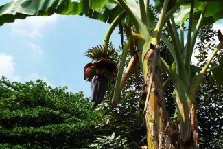 private-mekong-delta-shore-excursion-from-cruise-port6