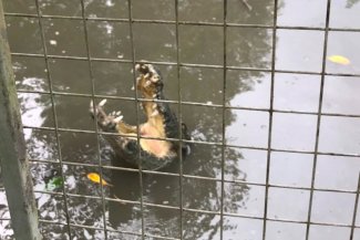 visiting-a-unesco-biosphere-can-gio-mangrove-forest3