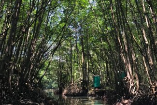 visiting-a-unesco-biosphere-can-gio-mangrove-forest4