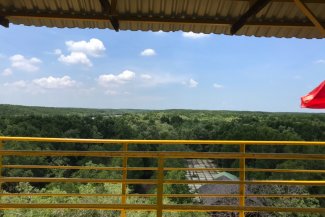 Visiting a UNESCO Biosphere-Can Gio Mangrove Forest